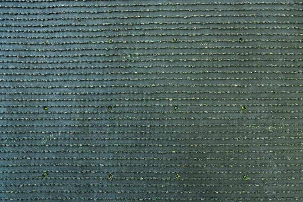 ⼈⼯芝 芝丈20mm 2×10ｍ イメージ4