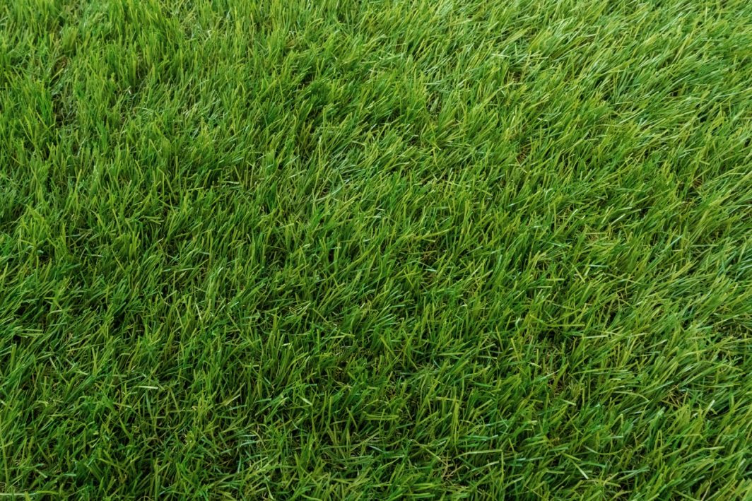 ⼈⼯芝 芝丈35mm 2×10ｍ イメージ1